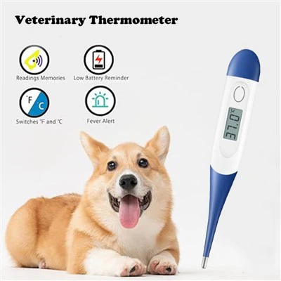 Veterinární teploměry